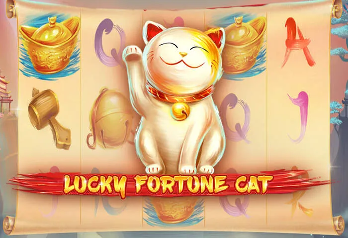 Pinakabagong mga promosyon sa Dk88 casino.